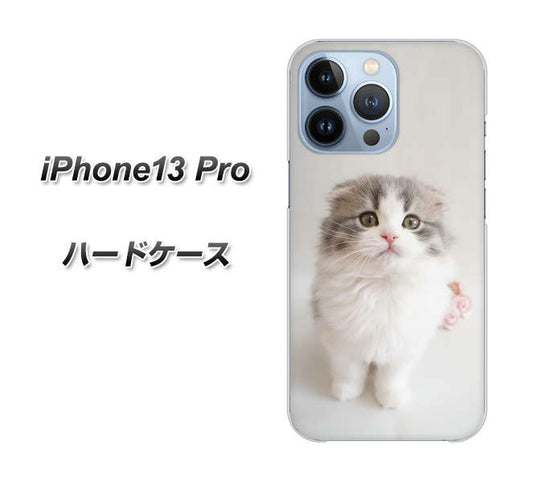 iPhone13 Pro 高画質仕上げ 背面印刷 ハードケース【VA803 まっていますネコ】