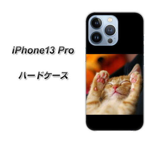 iPhone13 Pro 高画質仕上げ 背面印刷 ハードケース【VA804 爆睡するネコ】