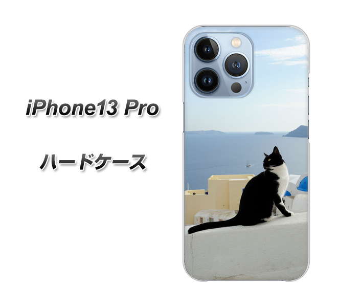 iPhone13 Pro 高画質仕上げ 背面印刷 ハードケース【VA805 ネコと地中海】