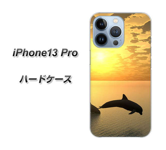 iPhone13 Pro 高画質仕上げ 背面印刷 ハードケース【VA845 夕暮れのドルフィン】