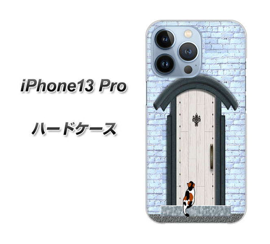 iPhone13 Pro 高画質仕上げ 背面印刷 ハードケース【YA951 石ドア01】