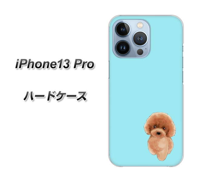 iPhone13 Pro 高画質仕上げ 背面印刷 ハードケース【YJ050 トイプードルレッド(ブルー)】
