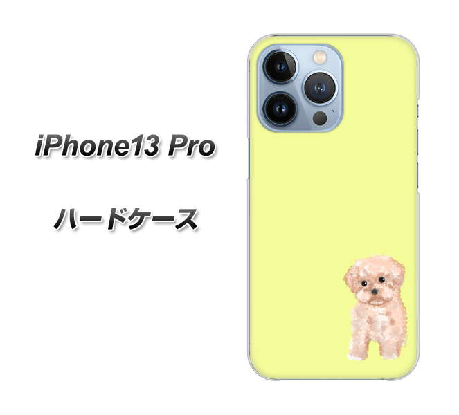 iPhone13 Pro 高画質仕上げ 背面印刷 ハードケース【YJ064 トイプードルアプリコット(イエロー)】