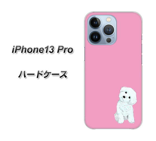 iPhone13 Pro 高画質仕上げ 背面印刷 ハードケース【YJ069 トイプードルホワイト(ピンク)】