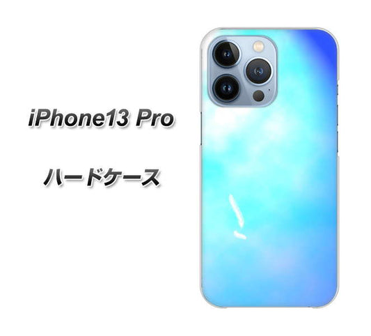 iPhone13 Pro 高画質仕上げ 背面印刷 ハードケース【YJ291 デザイン　光】