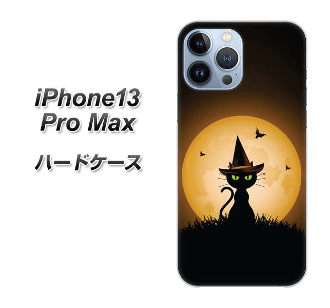 iPhone13 Pro Max 高画質仕上げ 背面印刷 ハードケース【440 猫の魔法使い】