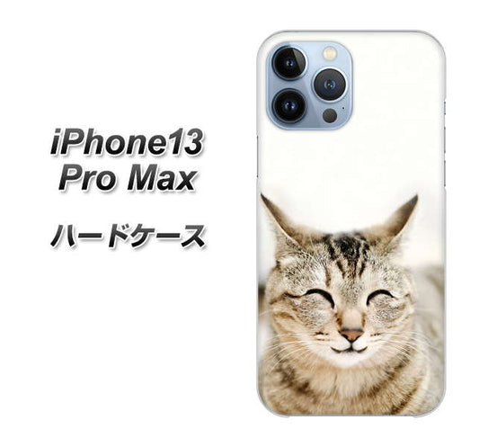 iPhone13 Pro Max 高画質仕上げ 背面印刷 ハードケース【VA801 笑福ねこ】