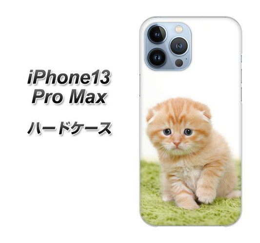 iPhone13 Pro Max 高画質仕上げ 背面印刷 ハードケース【VA802 ネコこっそり】