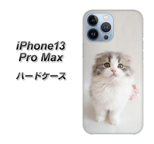 iPhone13 Pro Max 高画質仕上げ 背面印刷 ハードケース【VA803 まっていますネコ】