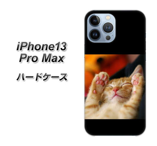 iPhone13 Pro Max 高画質仕上げ 背面印刷 ハードケース【VA804 爆睡するネコ】