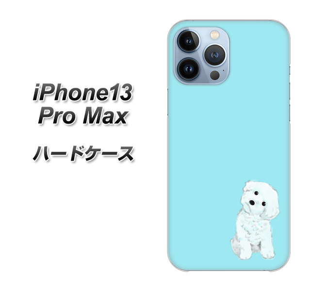 iPhone13 Pro Max 高画質仕上げ 背面印刷 ハードケース【YJ070 トイプードルホワイト(ブルー)】