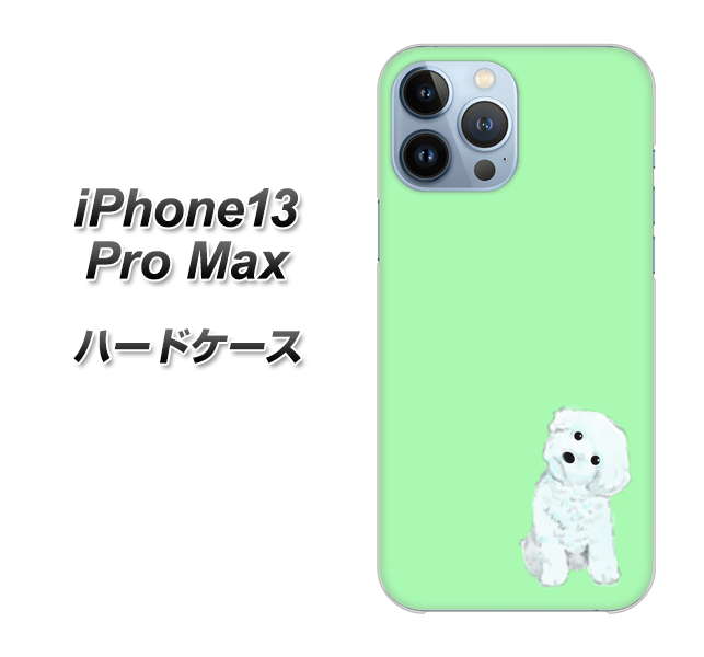 iPhone13 Pro Max 高画質仕上げ 背面印刷 ハードケース【YJ071 トイプードルホワイト(グリーン)】