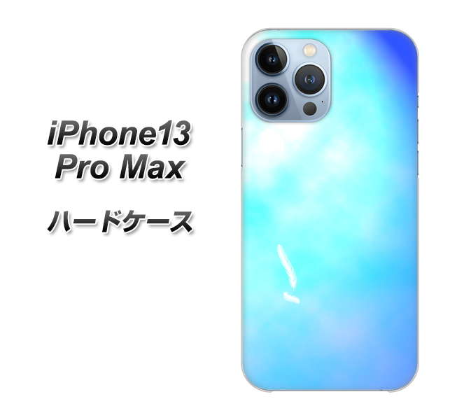 iPhone13 Pro Max 高画質仕上げ 背面印刷 ハードケース【YJ291 デザイン 光】