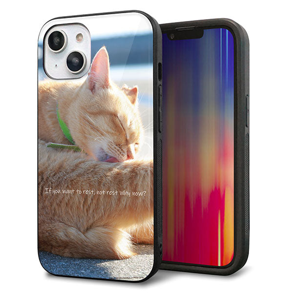 iPhone14 強化ガラス&TPUスマホケース ガラプリ【KM876 猫】