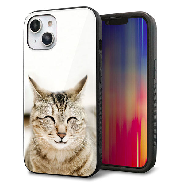 iPhone14 強化ガラス&TPUスマホケース ガラプリ【VA801 笑福ねこ】