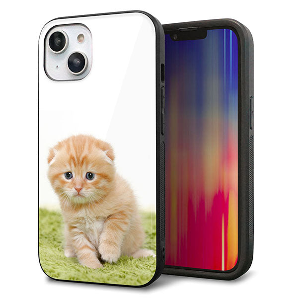 iPhone14 強化ガラス&TPUスマホケース ガラプリ【VA802 ネコこっそり】
