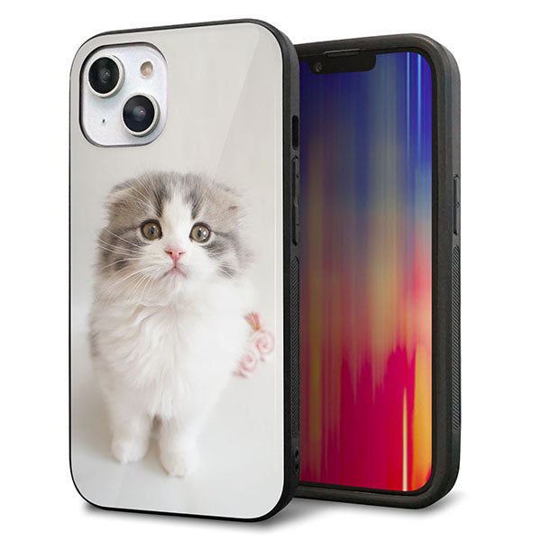 iPhone14 強化ガラス&TPUスマホケース ガラプリ【VA803 まっていますネコ】
