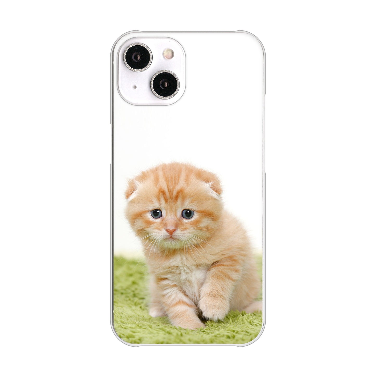 iPhone14 高画質仕上げ 背面印刷 ハードケース 【VA802 ネコこっそり】