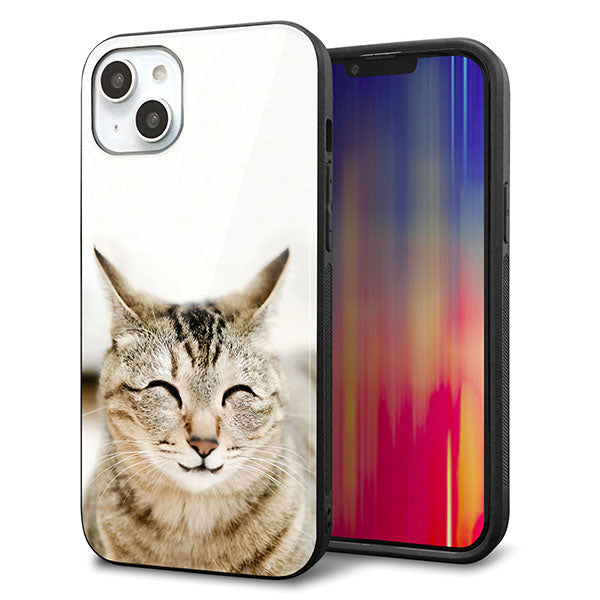 iPhone14 Plus 強化ガラス&TPUスマホケース ガラプリ【VA801 笑福ねこ】