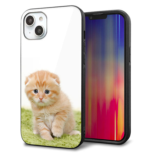 iPhone14 Plus 強化ガラス&TPUスマホケース ガラプリ【VA802 ネコこっそり】
