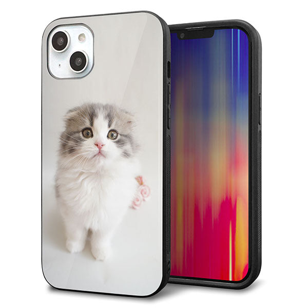 iPhone14 Plus 強化ガラス&TPUスマホケース ガラプリ【VA803 まっていますネコ】