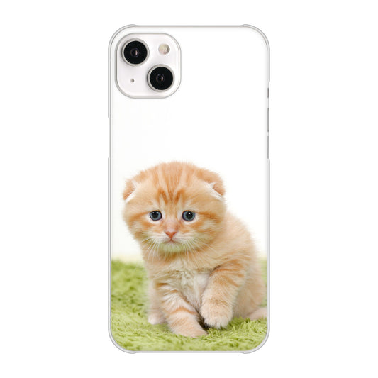 iPhone14 Plus 高画質仕上げ 背面印刷 ハードケース【VA802 ネコこっそり】