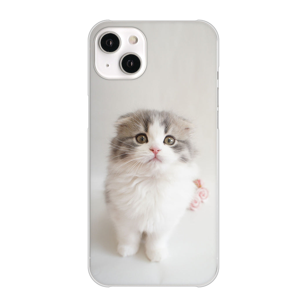 iPhone14 Plus 高画質仕上げ 背面印刷 ハードケース【VA803 まっていますネコ】