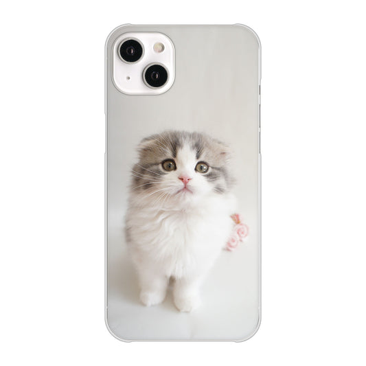 iPhone14 Plus 高画質仕上げ 背面印刷 ハードケース【VA803 まっていますネコ】