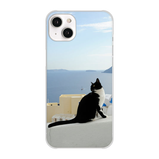 iPhone14 Plus 高画質仕上げ 背面印刷 ハードケース【VA805 ネコと地中海】