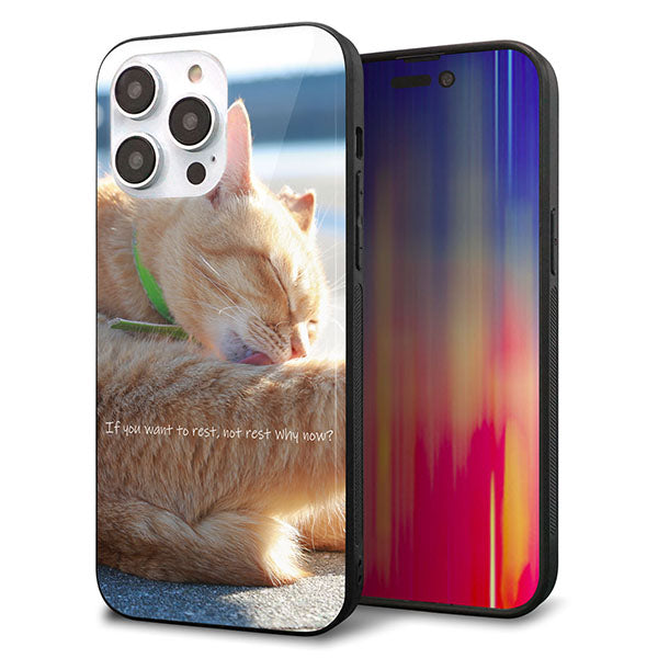 iPhone14 Pro Max 強化ガラス&TPUスマホケース ガラプリ【KM876 猫】