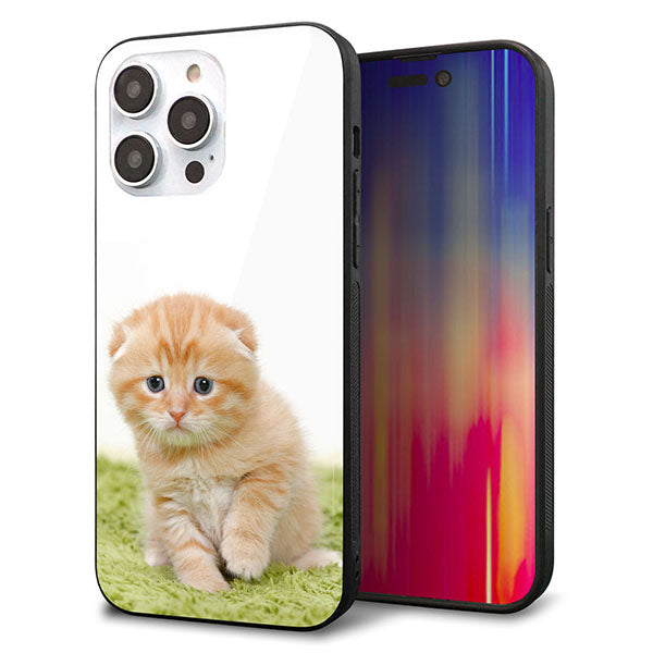 iPhone14 Pro Max 強化ガラス&TPUスマホケース ガラプリ【VA802 ネコこっそり】
