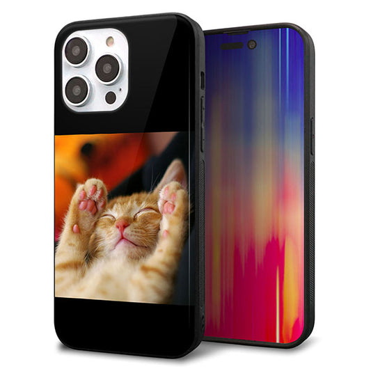 iPhone14 Pro Max 強化ガラス＆TPUスマホケース ガラプリ【VA804 爆睡するネコ】