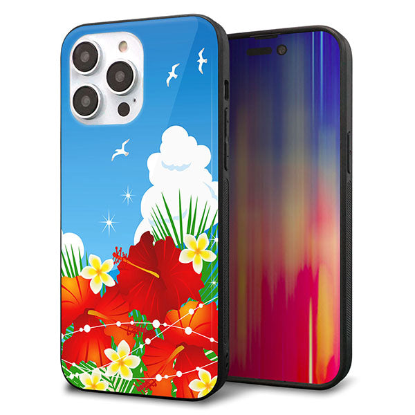 iPhone14 Pro Max 強化ガラス&TPUスマホケース ガラプリ【VA821 ハイビスカスと青空】