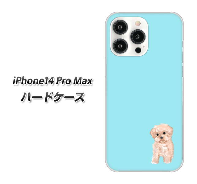 iPhone14 Pro Max 高画質仕上げ 背面印刷 ハードケース【YJ062 トイプードルアプリコット(ブルー)】