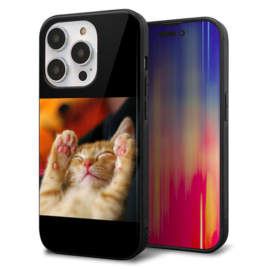iPhone14 Pro 強化ガラス＆TPUスマホケース ガラプリ【VA804 爆睡するネコ】