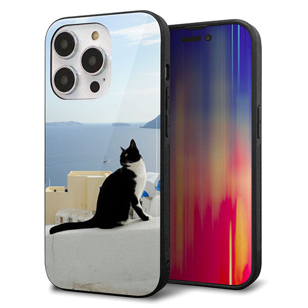 iPhone14 Pro 強化ガラス&TPUスマホケース ガラプリ【VA805 ネコと地中海】