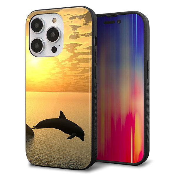 iPhone14 Pro 強化ガラス&TPUスマホケース ガラプリ【VA845 夕暮れのドルフィン】