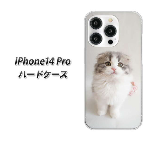 iPhone14 Pro 高画質仕上げ 背面印刷 ハードケース【VA803 まっていますネコ】