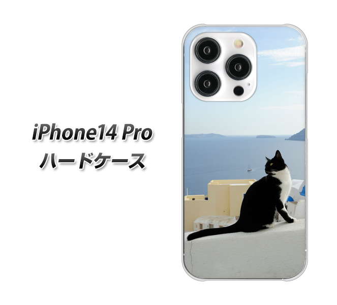 iPhone14 Pro 高画質仕上げ 背面印刷 ハードケース【VA805 ネコと地中海】