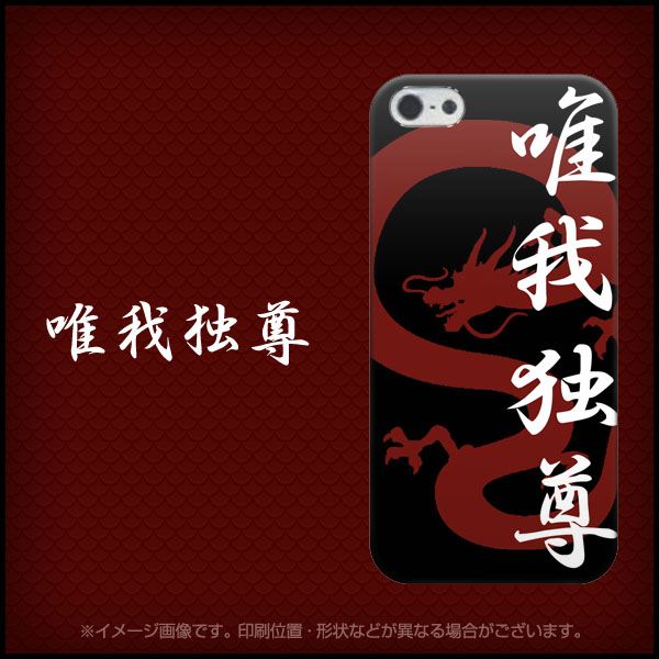iPhone5/iPhone5s 高画質仕上げ 背面印刷 ハードケース【EK822 唯我独尊】