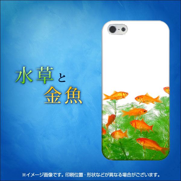 iPhone5/iPhone5s 高画質仕上げ 背面印刷 ハードケース【EK845 水草と金魚】