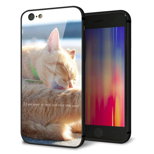 iPhone6 強化ガラス&TPUスマホケース ガラプリ【KM876 猫】
