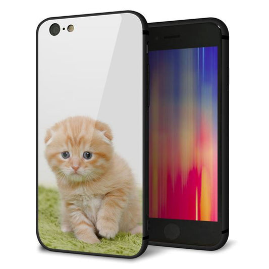 iPhone6 強化ガラス&TPUスマホケース ガラプリ【VA802 ネコこっそり】