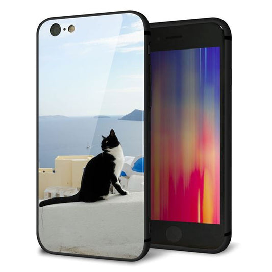iPhone6 強化ガラス＆TPUスマホケース ガラプリ【VA805 ネコと地中海】