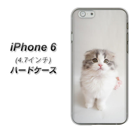 iPhone6 高画質仕上げ 背面印刷 ハードケース【VA803 まっていますネコ】