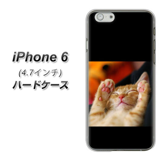 iPhone6 高画質仕上げ 背面印刷 ハードケース【VA804 爆睡するネコ】
