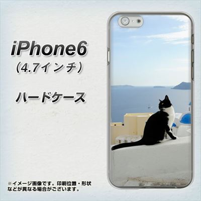 iPhone6 高画質仕上げ 背面印刷 ハードケース【VA805 ネコと地中海】