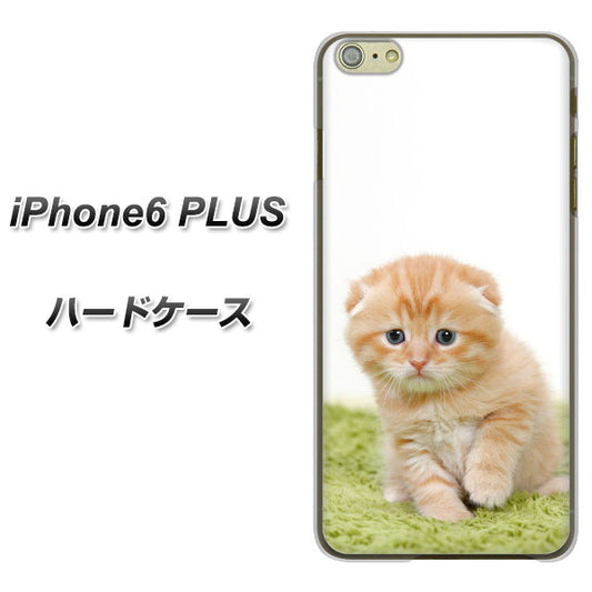 iPhone6 PLUS 高画質仕上げ 背面印刷 ハードケース【VA802 ネコこっそり】