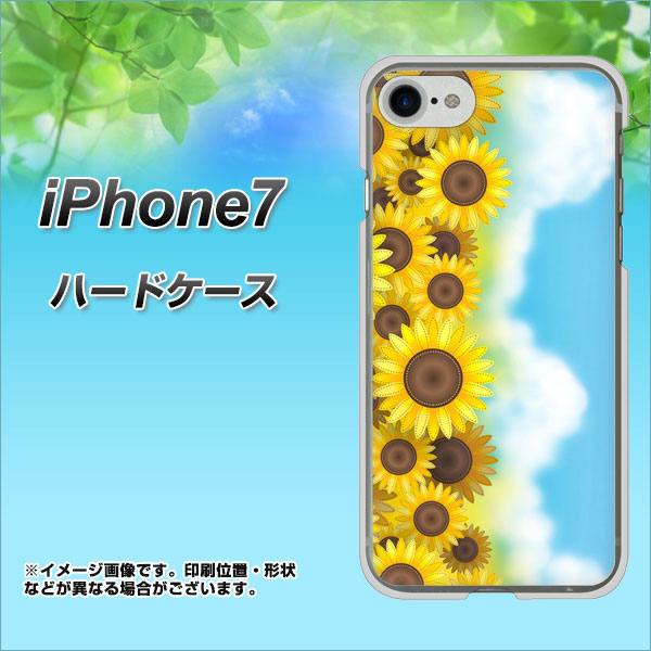 iPhone7 高画質仕上げ 背面印刷 ハードケース【148 ひまわり畑】