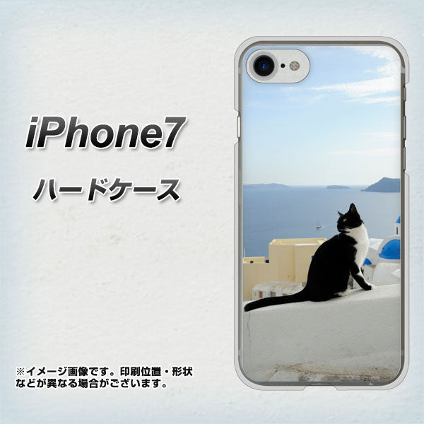 iPhone7 高画質仕上げ 背面印刷 ハードケース【VA805 ネコと地中海】